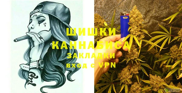 ECSTASY Покачи