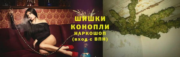 ECSTASY Покачи