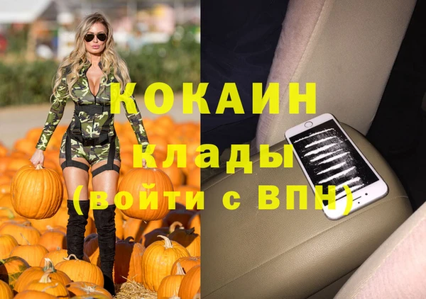 ECSTASY Покачи