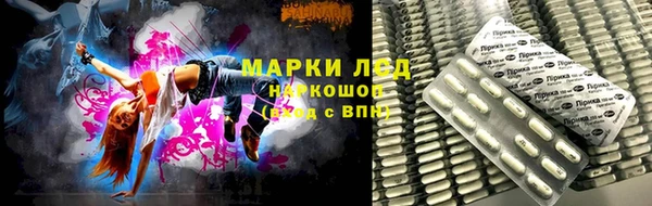 ECSTASY Покачи