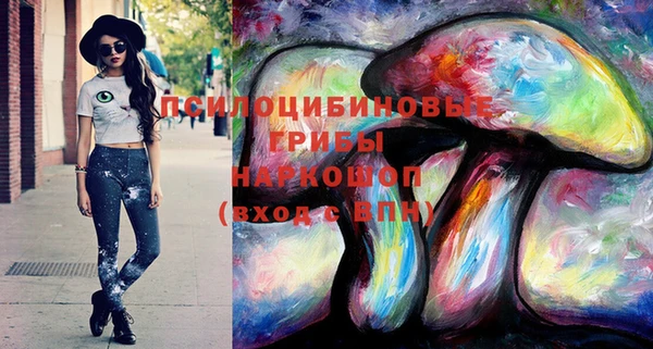ECSTASY Покачи