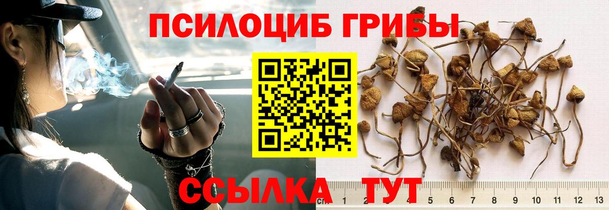 Псилоцибиновые грибы мухоморы Азов